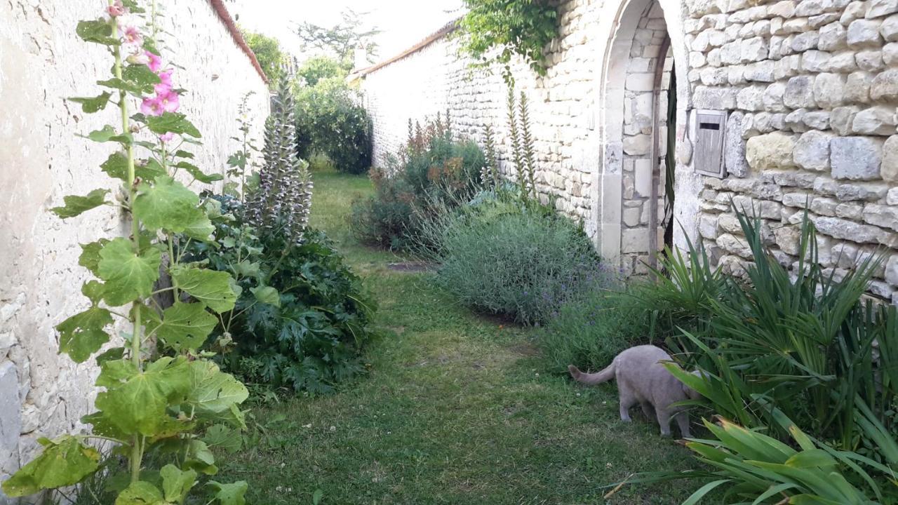 Les Jardins De Clerjotte Bed & Breakfast Saint-Martin-de-Ré Eksteriør bilde